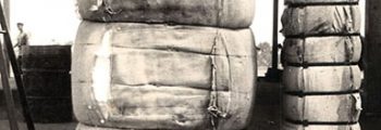 1939<h6>Inicio de operaciones: Reprensa Algodonera y Almacén Nacional</h6>